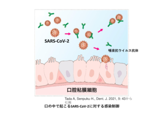 感染と免疫・予防①　歯科的見地から「COVID-19」